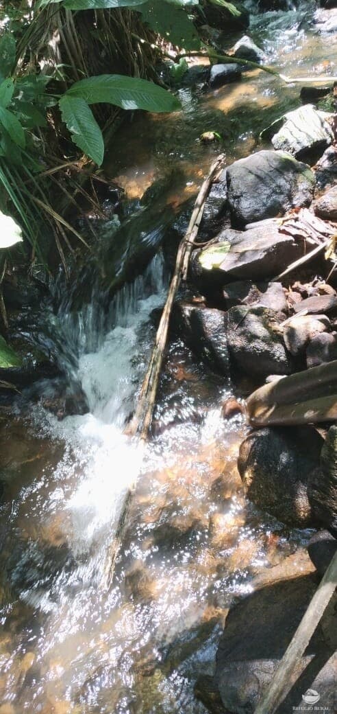 TERRENO GRANDE E BARATO EM MONTEIRO LOBATO