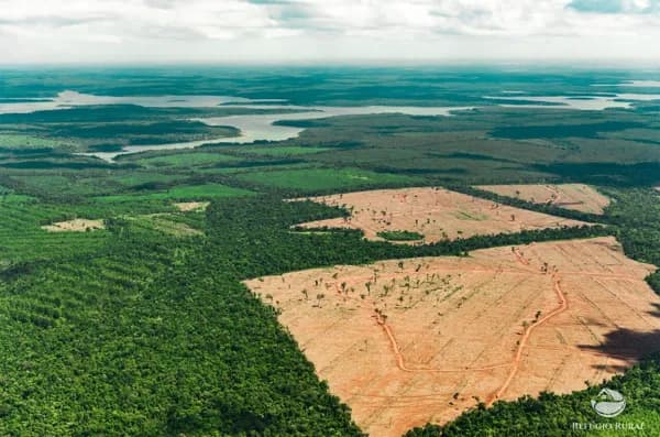 FAZENDA EM RORAIMA/RR
