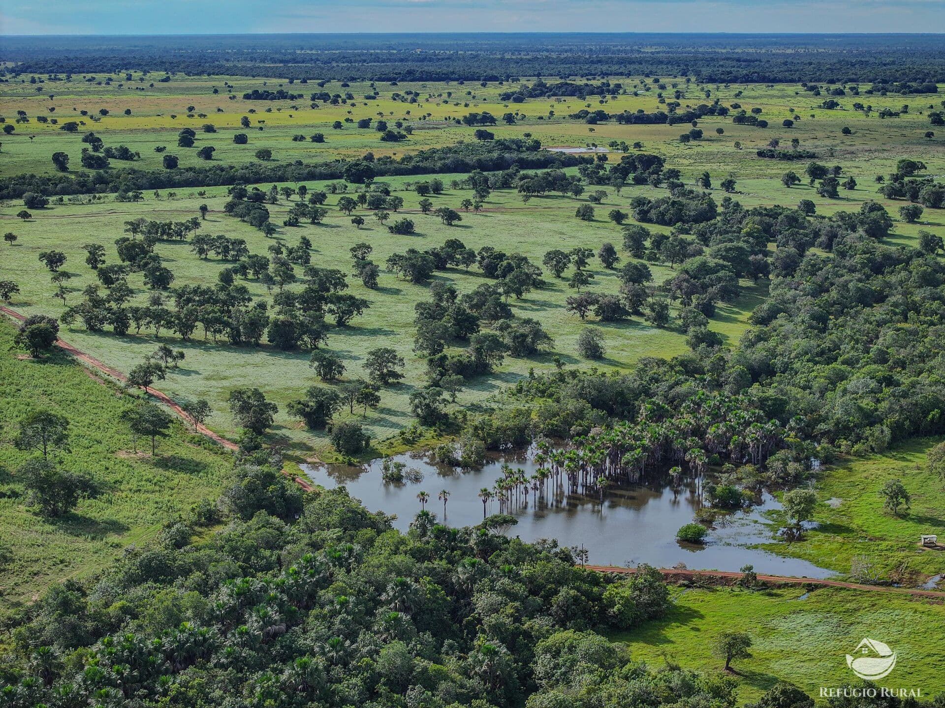 FAZENDA EXCELENTE COM ÓTIMA INFRAESTRUTURA EM RIBAS DO RIO PARDO/MS