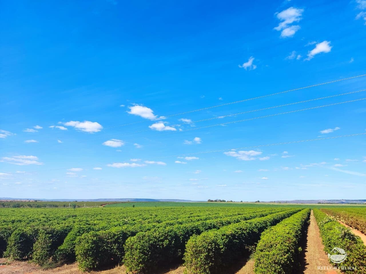 FAZENDA EM PATOS DE MINAS/MG