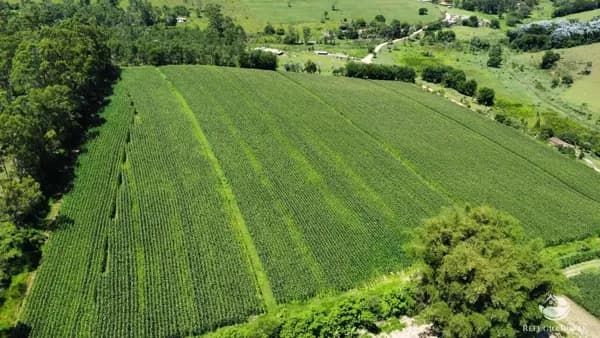 FAZENDA EM PARAÍBUNA/SP