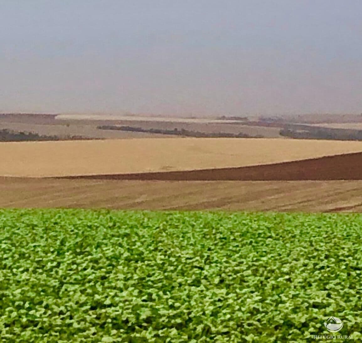 FAZENDA EM ITABERÁ/SP