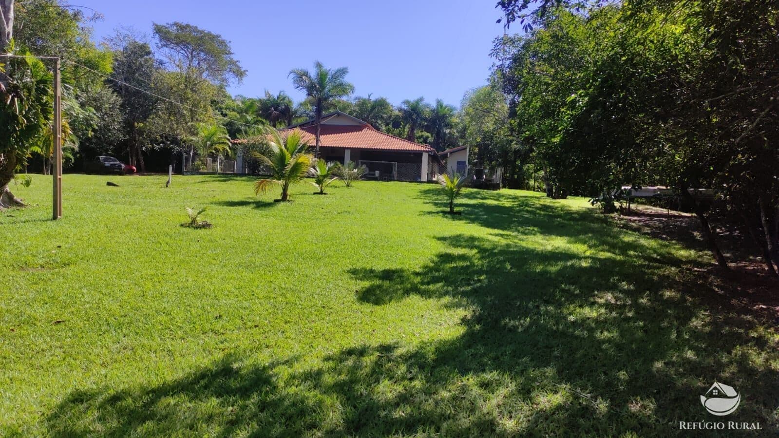 FAZENDA EM FIGUEIRÃO/MS