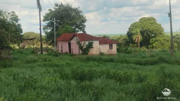 FAZENDA EM FRUTAL/MG
