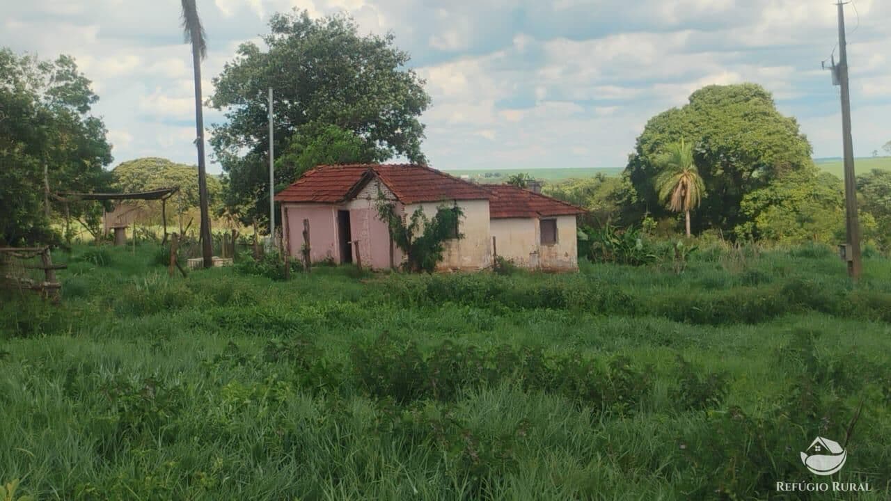 FAZENDA EM FRUTAL/MG