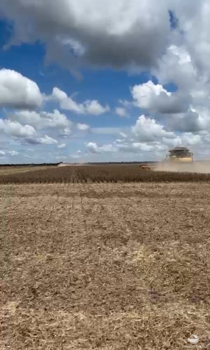 FAZENDA INCRÍVEL EM CRISTALINA/GO