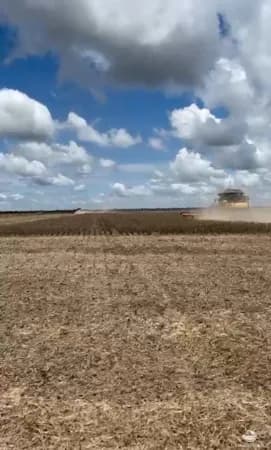 FAZENDA INCRÍVEL EM CRISTALINA/GO