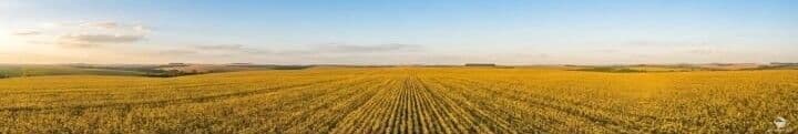 FAZENDA EM GUARANIAÇU/PR