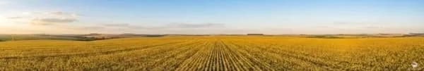 FAZENDA EM GUARANIAÇU/PR