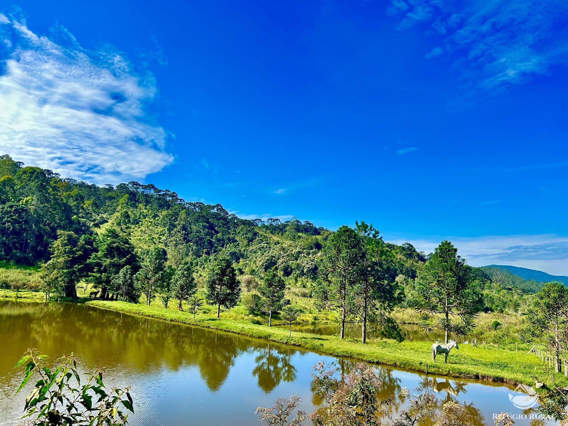 FAZENDA EM JOANÓPOLIS/SP