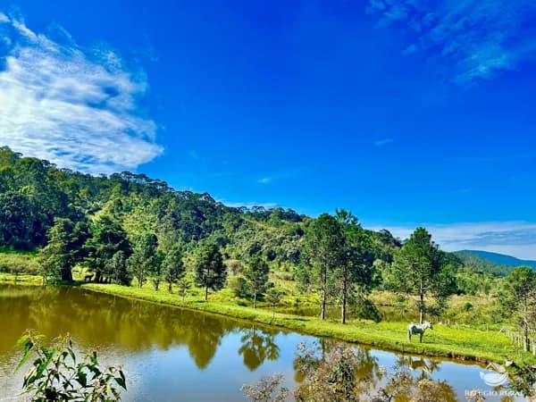 FAZENDA EM JOANÓPOLIS/SP