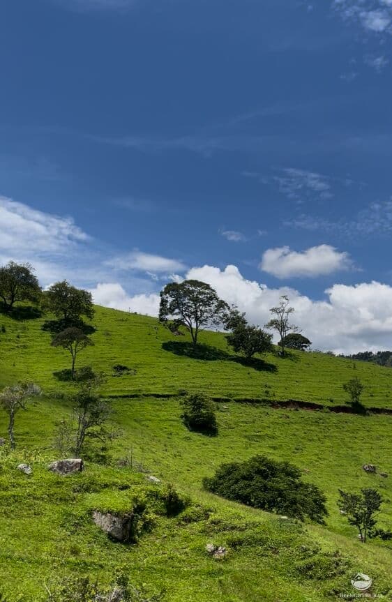 TERRENO INCRÍVEL NO CORAÇÃO DA SERRA DA MANTIQUEIRA