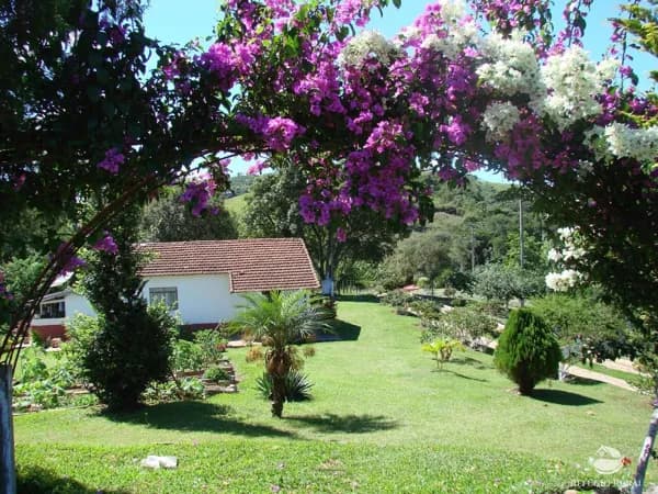 ALAMBIQUE EM CUNHA/SP