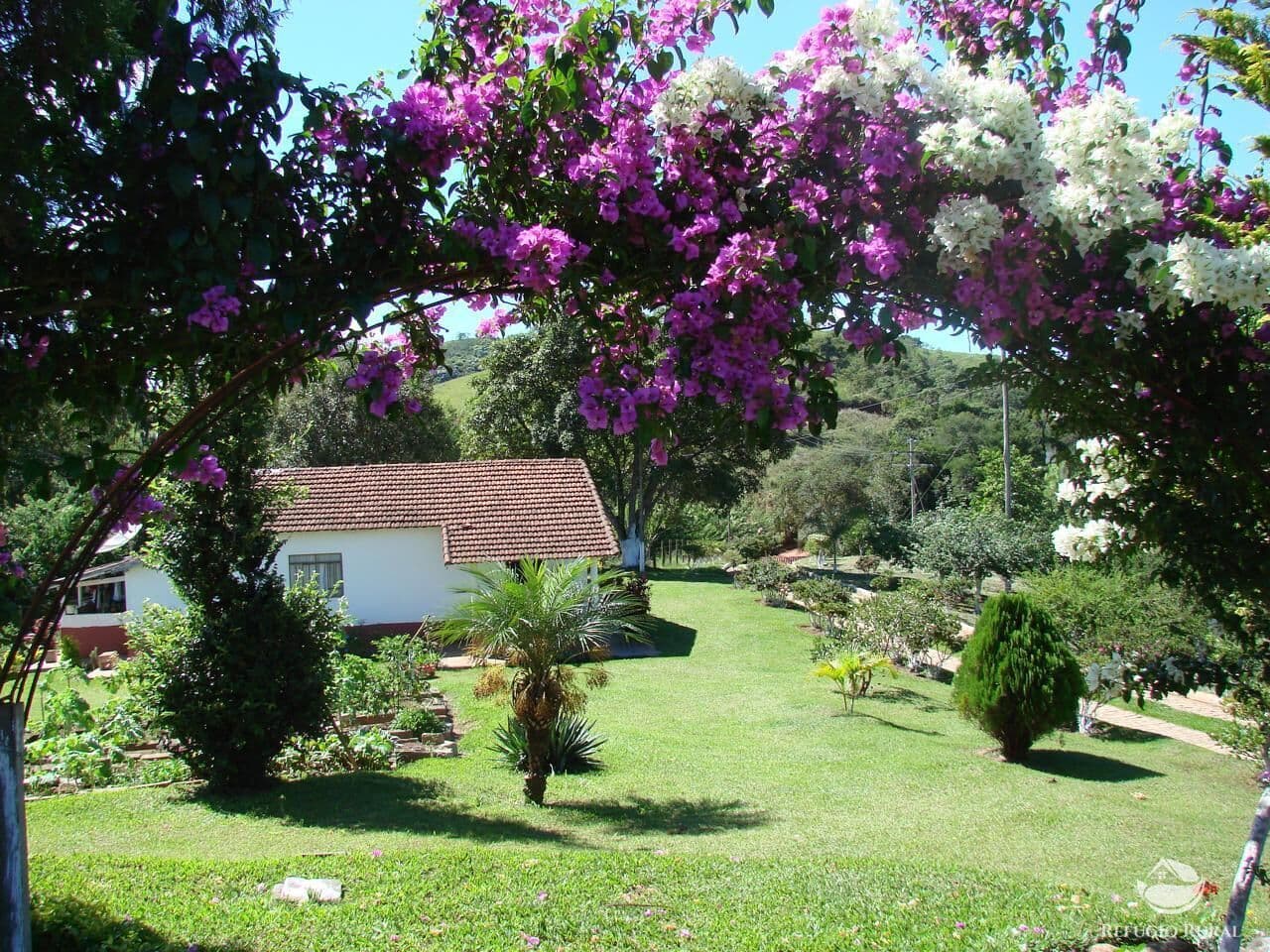 ALAMBIQUE EM CUNHA/SP