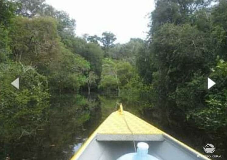 FAZENDA EM NOVO ARIPUANÃ/AM