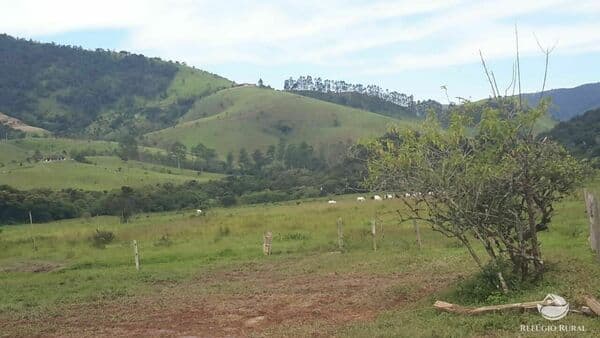 FAZENDA EM SÃO FRANCISCO XAVIER/SJC/SP