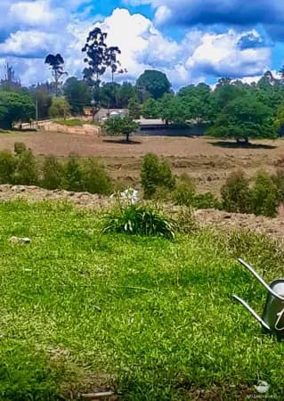 FAZENDA EM ITATIBA/SP