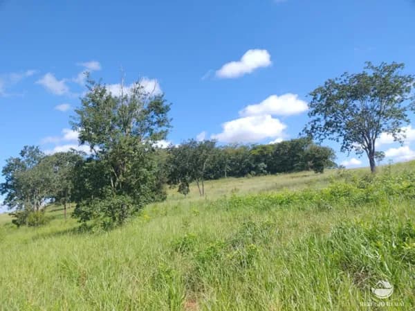 FAZENDA EM CASSILÂNDIA/MS