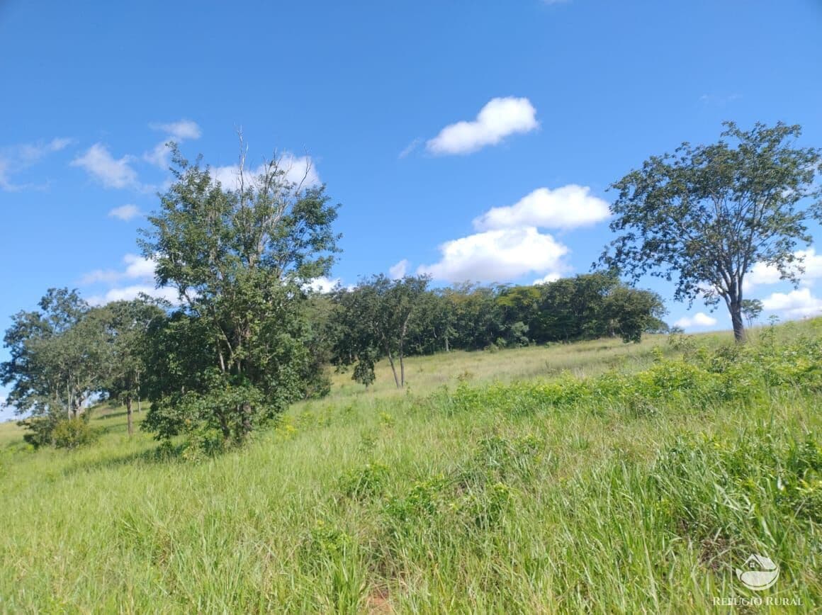 FAZENDA EM CASSILÂNDIA/MS