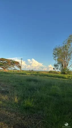 FAZENDA EXCELENTE EM FIGUEIRÃO/MS - ÓTIMA OPORTUNIDADE DE INVESTIMENTO!