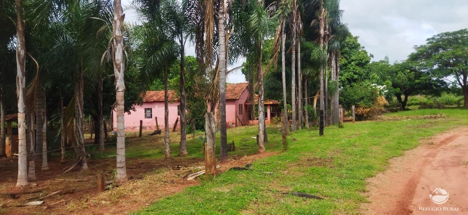 SÍTIO COM ÓTIMA LOCALIZAÇÃO EM FRUTAL/MG