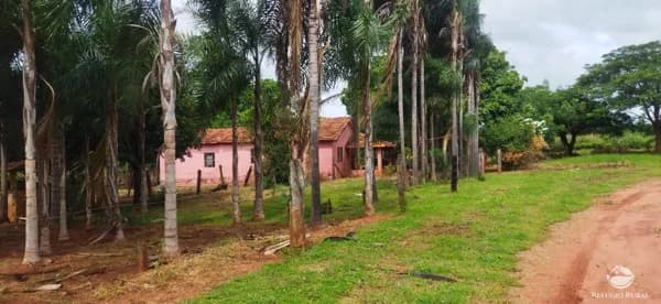SÍTIO COM ÓTIMA LOCALIZAÇÃO EM FRUTAL/MG