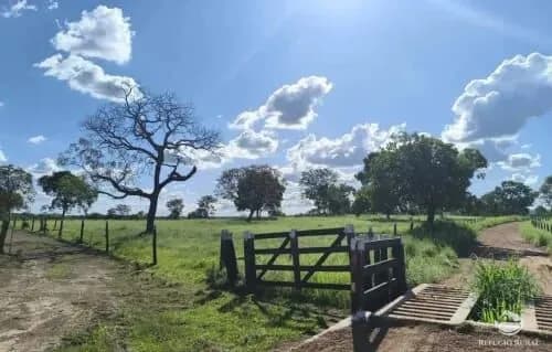 FAZENDA EM ARAGUAÇU/TO