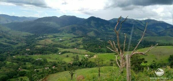 TERRENO 3 ALQUEIRES EM SANTA BÁRBARA, SFX
