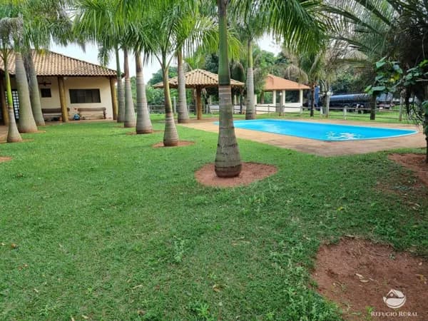 CHÁCARA/HARAS EM CIANORTE/PR