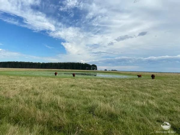 FAZENDA NO URUGUAI