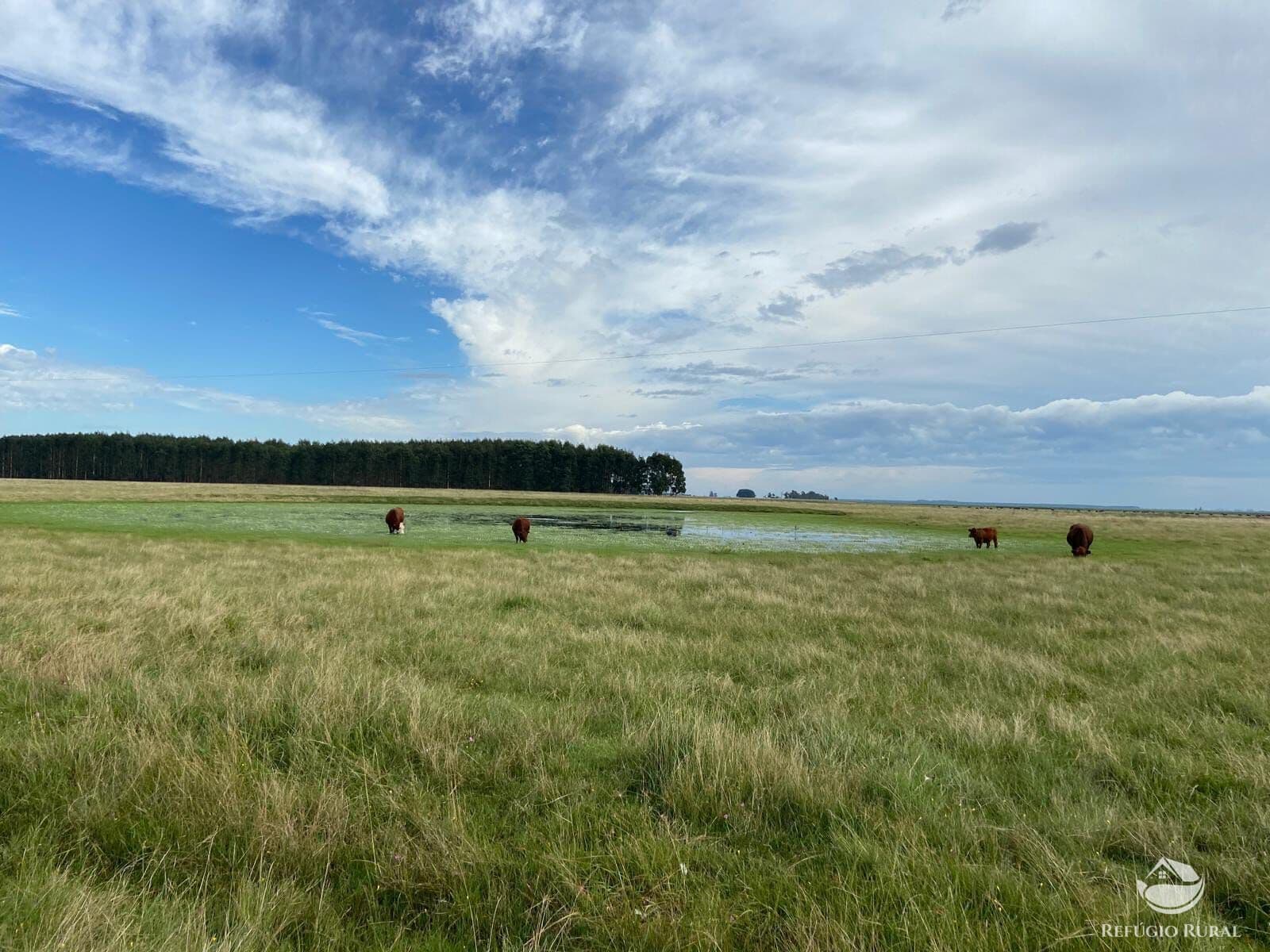 FAZENDA NO URUGUAI