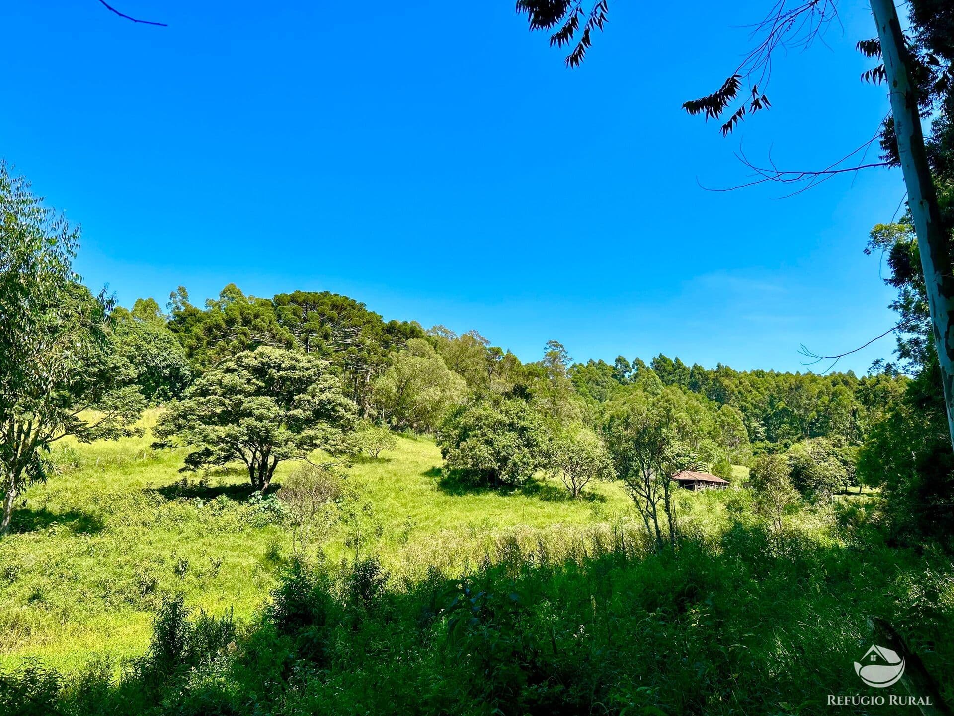TERRENO EM JOANÓPOLIS/SP