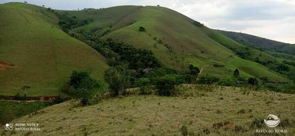 SÍTIO EM MONTEIRO LOBATO/SP