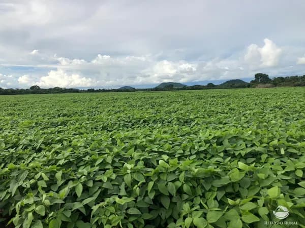 FAZENDA EM SANTA TEREZINHA/MT