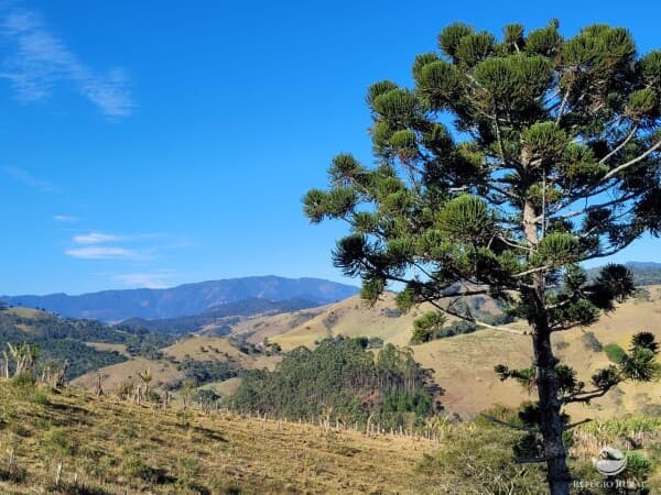 TERRENOS IDEAIS PARA POUSADA OU CHALÉS EM SANTO ANTÔNIO DO PINHAL/SP