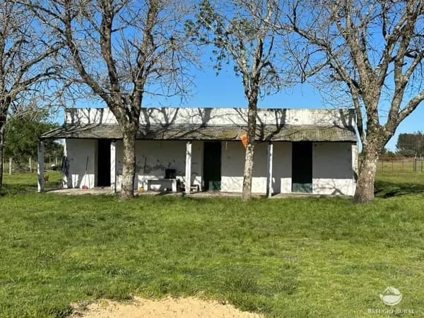 FAZENDA NO URUGUAI
