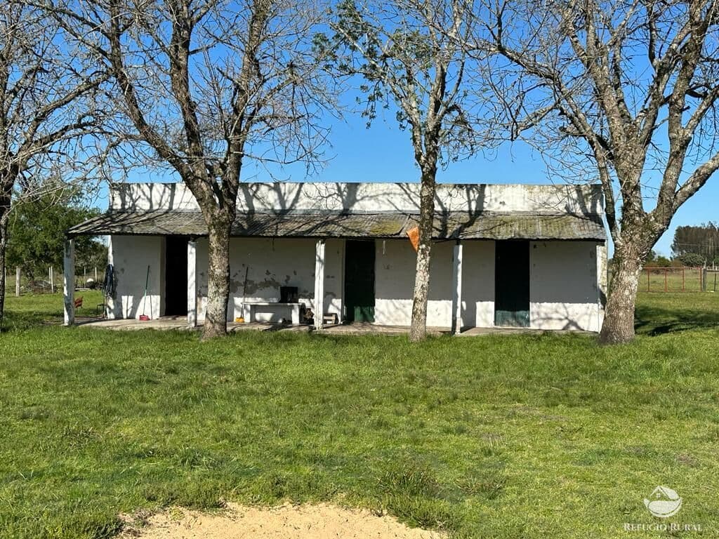 FAZENDA NO URUGUAI