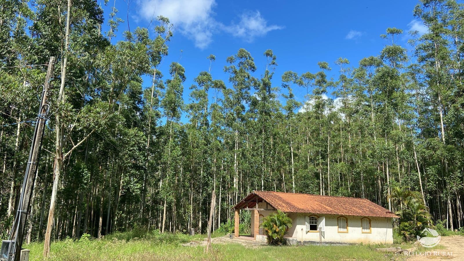 FAZENDA DE EUCALIPTOS IMPERDÍVEL EM PARAÍBUNA/SP