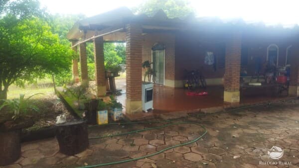 SÍTIO BEM LOCALIZADO COM MATA NATIVA E TERRA AGRICULTÁVEL EM FRUTAL - MG