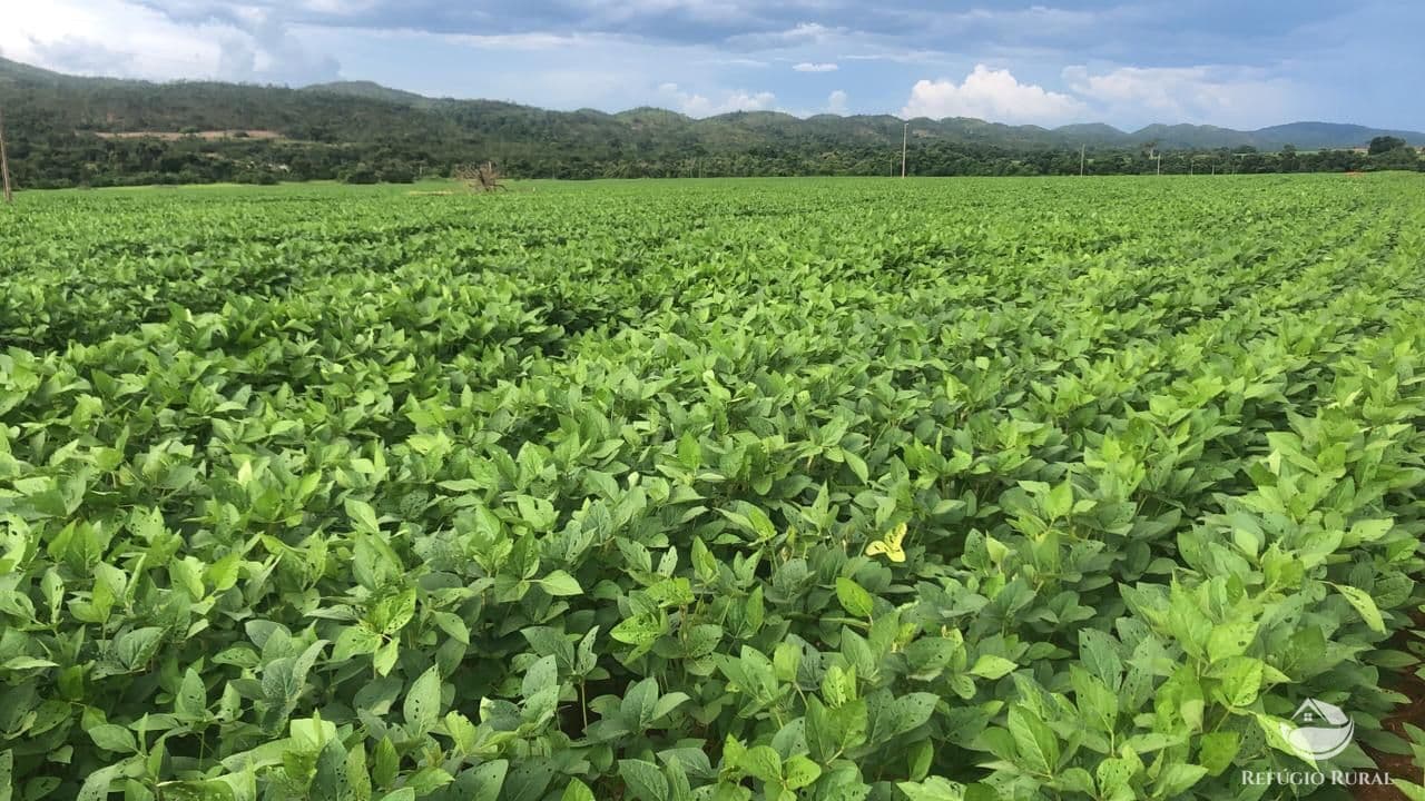FAZENDA EM PARANATINGA/MT