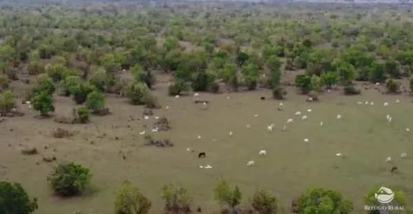 FAZENDA EM CORUMBÁ/MS
