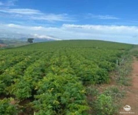 FAZENDA EM SANTA RITA DE CALDAS/MG