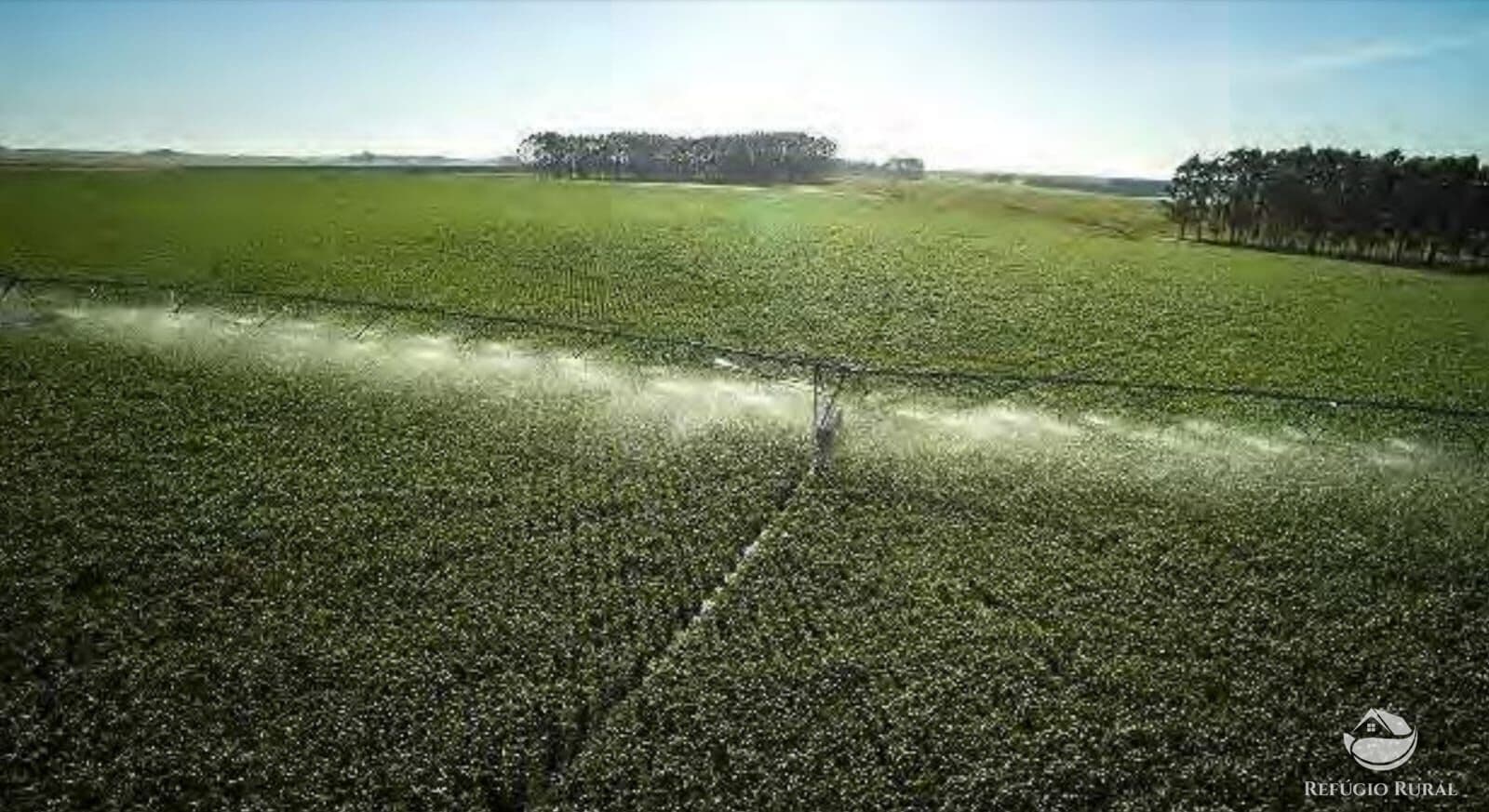 FAZENDA NO URUGUAI