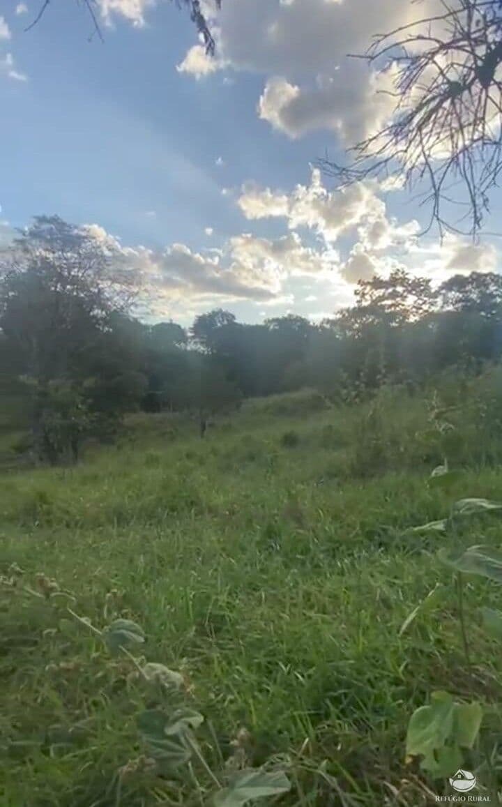FAZENDA EM GOIÁS/GO