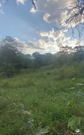 FAZENDA EM GOIÁS/GO