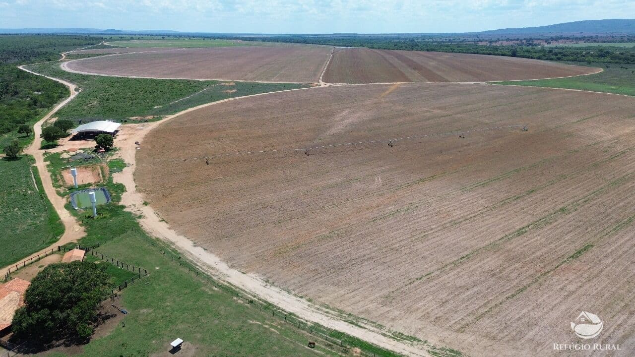 FAZENDA EM JOÃO PINHEIRO/MG