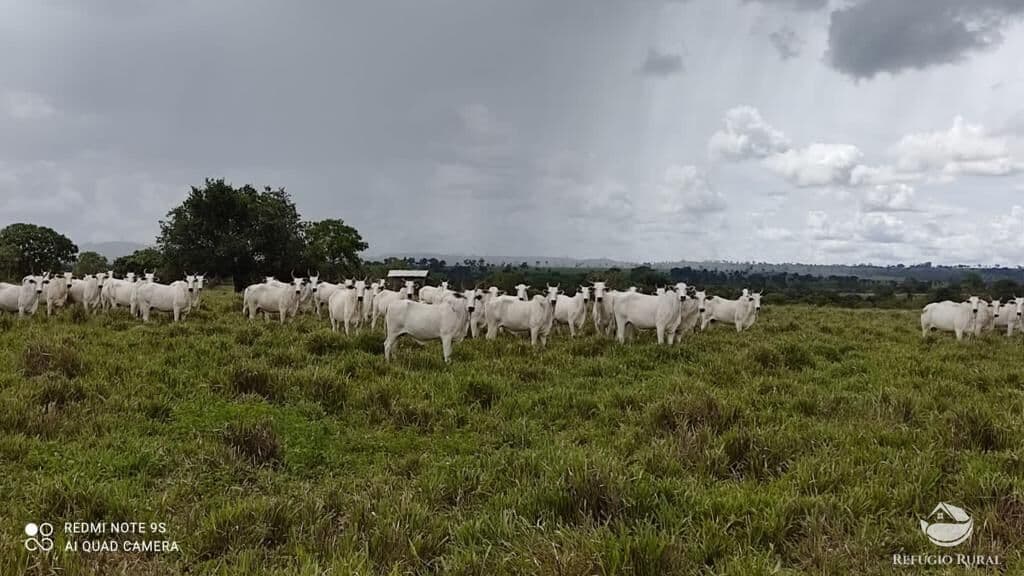 FAZENDA EM BANDEIRANTES/TO