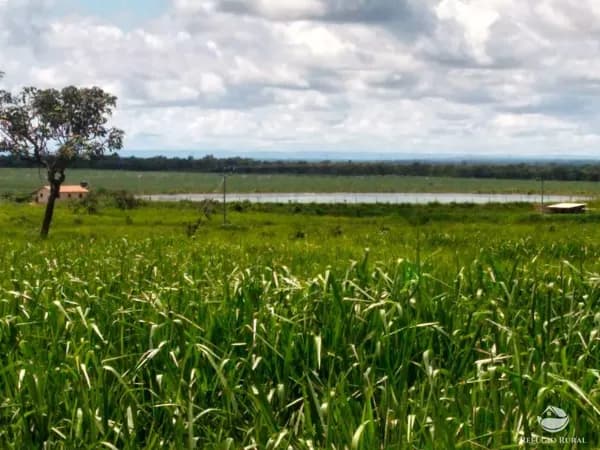 FAZENDA EXCELENTE EM PARACATU/MG