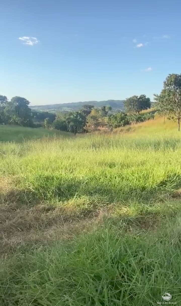 FAZENDA EM GOIÁS/GO