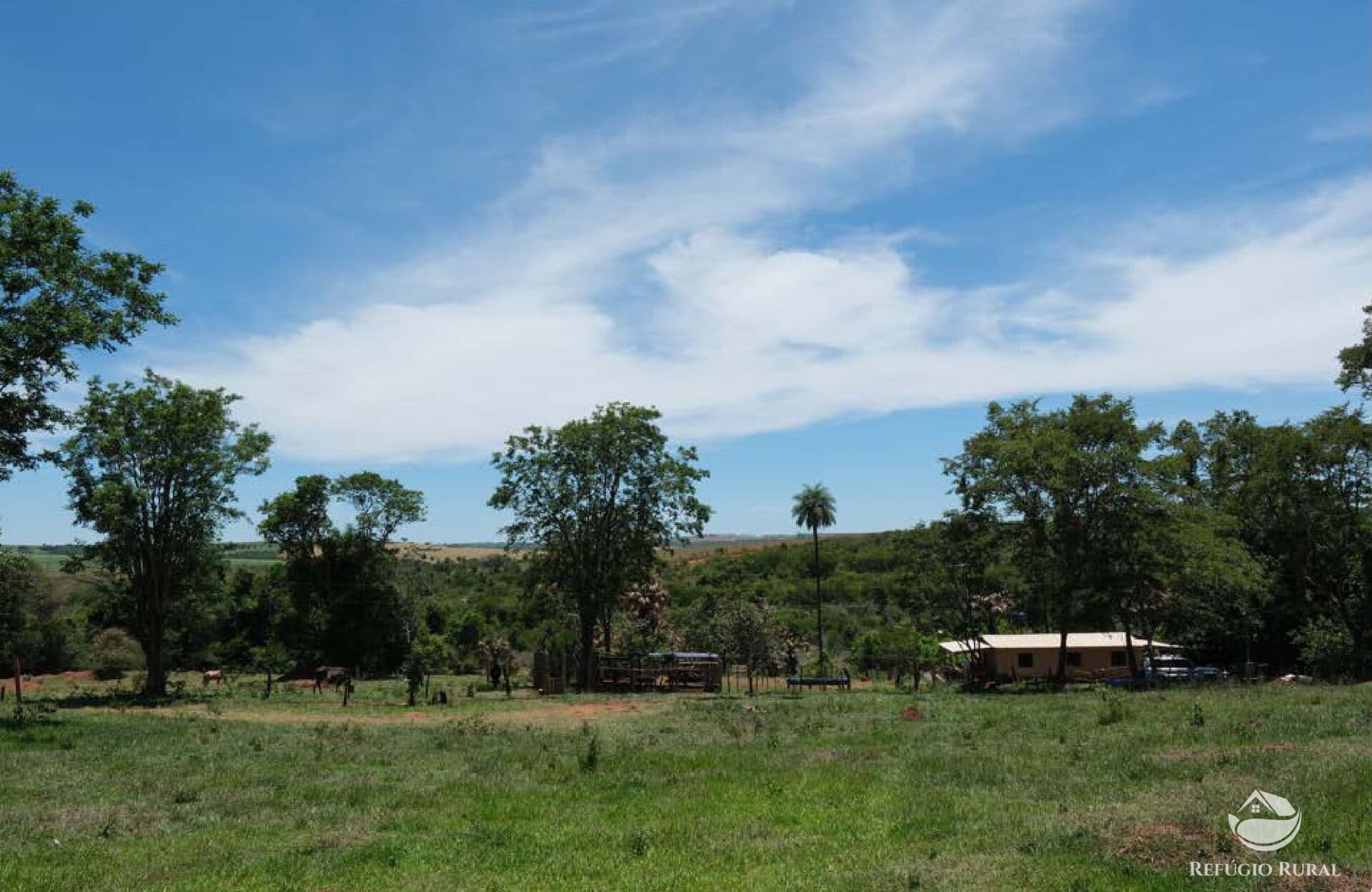 SÍTIO EM UBERLÂNDIA/MG